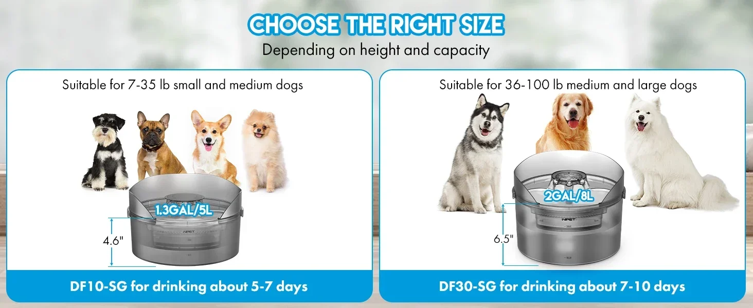 pet fountains for dogs