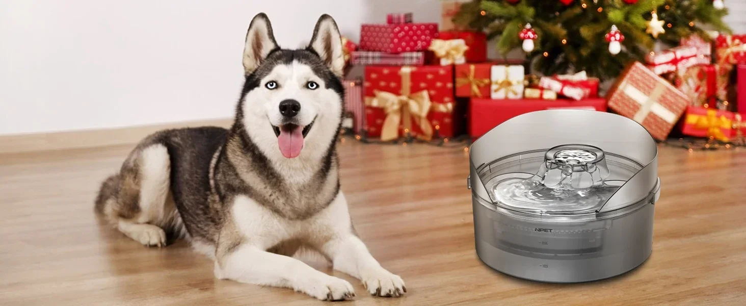 dog water fountain