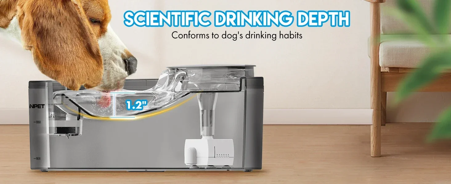 pet water fountain