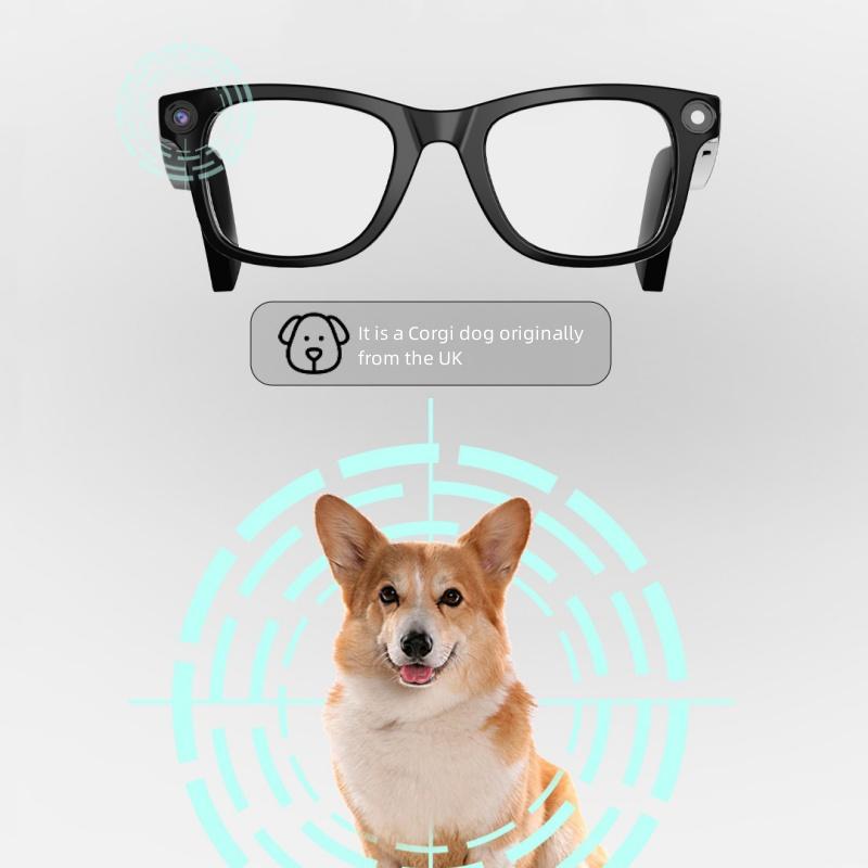 AI photo and video taking, intelligent voice glasses translation, everything recognition, and customizable prescriptions