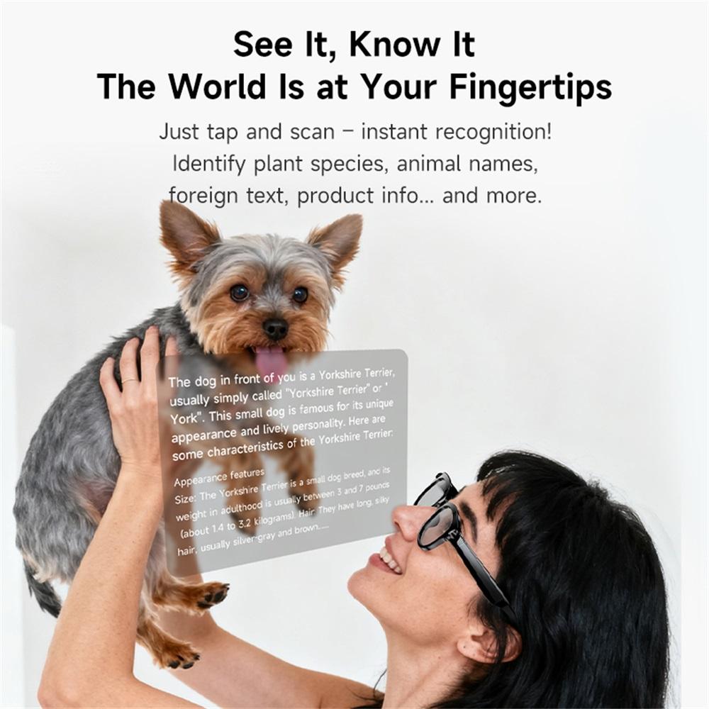 Smart Glasses, AI Technology, Real-Time Translation, Dual Camera, Bluetooth Calling, Sunglasses, Audio Capture, Video and Music Player, Multifunctional, For Men